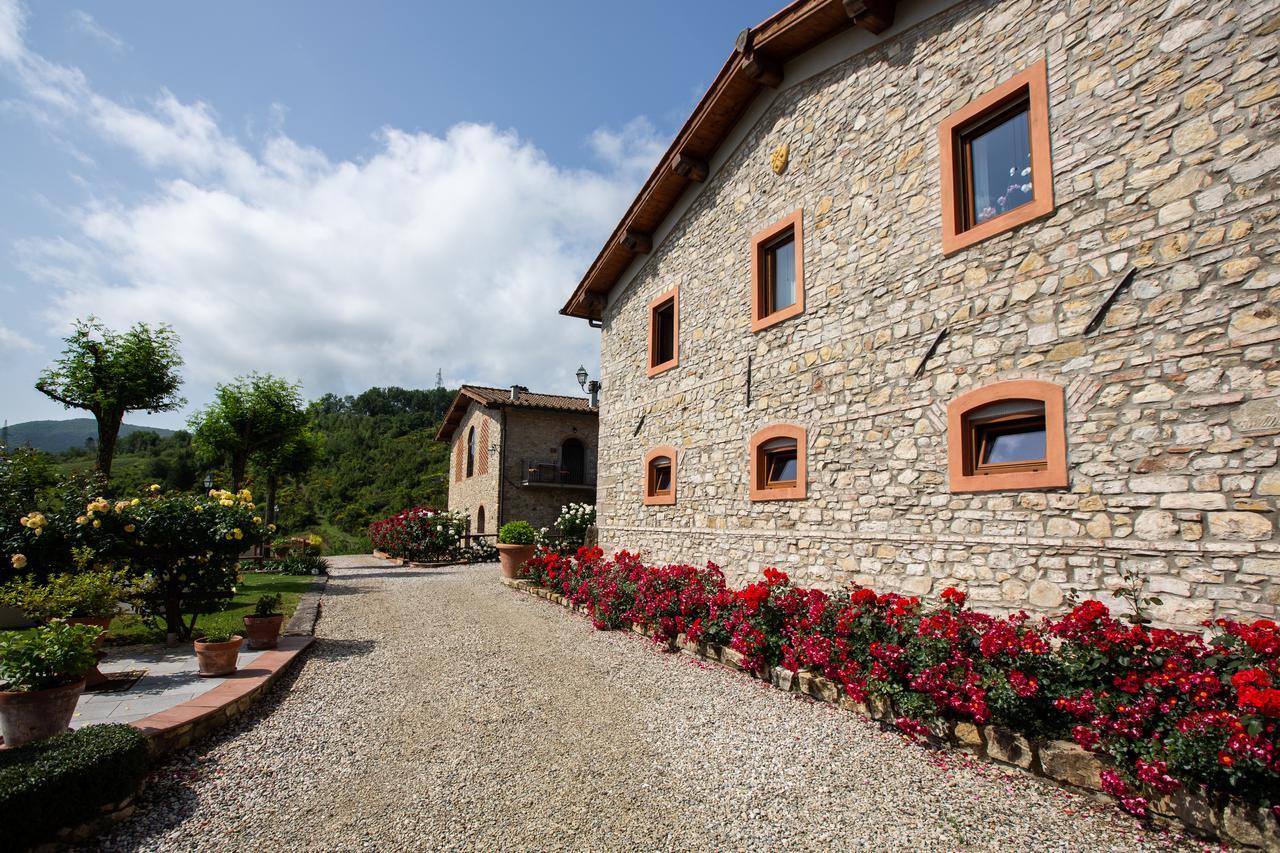 Agriturismo Vita Nova Виккьо Экстерьер фото